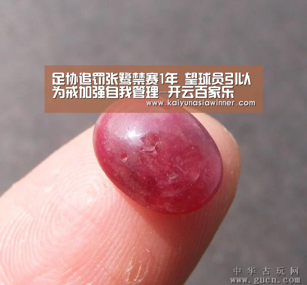 足协追罚张鹭禁赛1年 望球员引以为戒加强自我管理-开云百家乐(图1) 开云地址